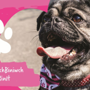 Reporting Dog Fouling image