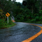 Winding road curves through a lush, green forest.