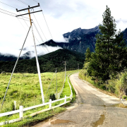 white wooden fence near green trees and mountain during daytime