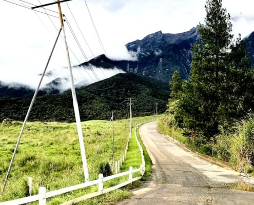 white wooden fence near green trees and mountain during daytime